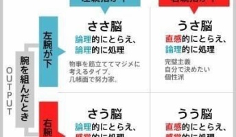 この画像で自分の脳のタイプが分かるらしいぞ