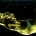 �Ȥ���ޥ��������μ���ʥĥ��ۥ���,Speckled blue grouper��