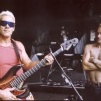 Sting & Sting