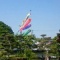 鯉のぼりパート2