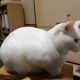 総会の議長!!?????( ̄▽ ̄;)!!