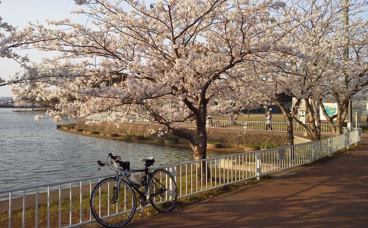 よし子のおとぼけ日記 イメージ画像