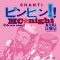 ���٥�ȡ䡡2/11(��)SKA���å����ƥǥ���12(��)MC��ǻ���ܤ�!!