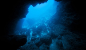 深海や深海生物について語ろう!