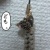 アイウォンチュ~♪アイニ~ヂュ~♪アイラ~ビュ~♪…