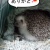 アイウォンチュ~♪アイニ~ヂュ~♪アイラ~ビュ~♪…