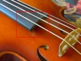 3_4violin17