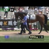 青葉賞＆もう１走２走でだいたい勝つかな。第６２回