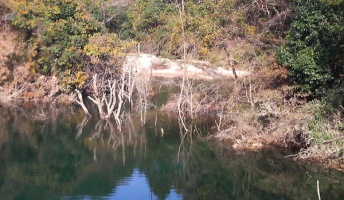 地図にも載ってない幻想的な池を発見してもーたwwwwwww