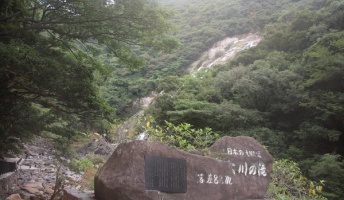 リアルもののけ姫の世界!屋久島行った時の画像を貼ってく