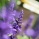 �����餱�ʤ����� act.4