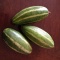インドの野菜：パルワル Parwal