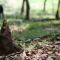 守谷キャンプ　−　ワークショップ