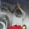 CM　20120207-2（続き）