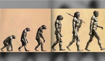 【科学】実はウソだった俗説3つ 「人間は脳の10%しか使っていない」「アルコールで脳細胞が死滅」「人類進化の図」