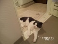 ���äƤ�夫����ʤ����ʤ���