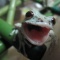 寒いけど、食べてます。