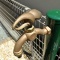 細部へのこだわりを積み重ねる( 草野邸 7)