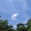 夏空と森