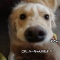 ハーちゃん・・・・可愛すぎる…（笑）