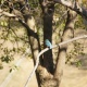 ��550�ǥ��糧�ߡ���DT18-250����Part10