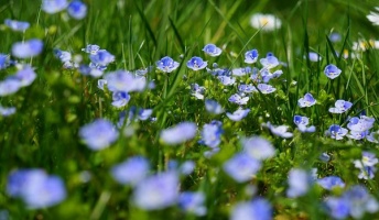 ネット用語の『はいじゃないが』の元ネタがヤバイ…軽々しく使うものではなかった