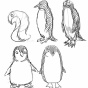 ペンギンローブっぽいやつを正面から見ると