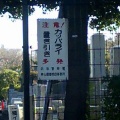 やっぱり。。。