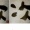 筆ガっこ【鴨】【月】【次】【国】【数】【ひまわり】＠炭酸