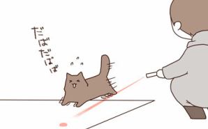 レーザーポインターで遊ぶ猫の反応