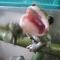 食い付く瞬間！