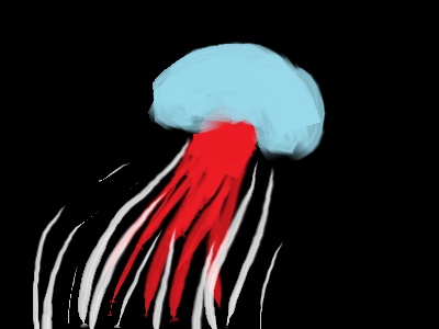 jellyfish