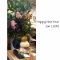 A Happy New Year 2012