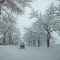 大雪(T_T)
