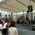 yodorock ライブ now