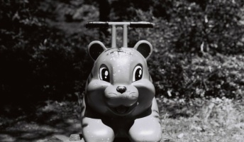 夏っぽい写真撮ったったwwwwwwww