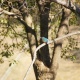 ��550�ǥ��糧�ߡ���DT18-250����Part10
