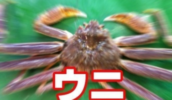 一 行 で 笑 っ た ら 何 か 食 っ て 寝 ろ