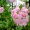���ޤä��硡in�����ǥ�