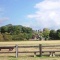 森のひだまり市。