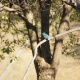 ��550�ǥ��糧�ߡ���DT18-250����Part10