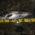 Seabass 27