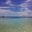 �ۥ磻�ȥ���ɤΥӡ��������ʳ� �����ޥ�ѥ�������