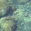 水中撮影