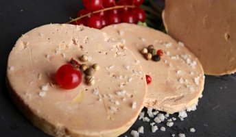 彡(゚)(゚)「はぁ美味いフォアグラ生産したいなあ・・・せや!うちのガチョウにええもん食わせたろ!」