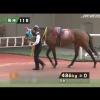 ４／２９本日のパドック推奨馬　順次更新します。