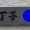 箱入り猫・・・