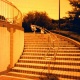 golden half+red scale