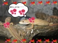 BlogPaint