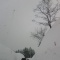 [ski] �����ޥ���ǥ������� 2012/01/29 ��ꤹ��������
